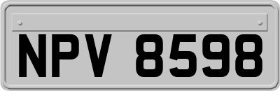 NPV8598
