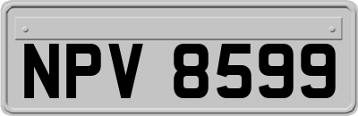 NPV8599