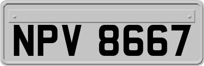 NPV8667