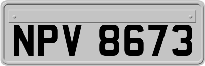 NPV8673