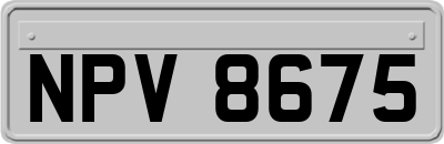NPV8675