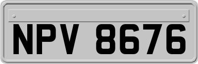 NPV8676