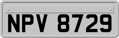 NPV8729