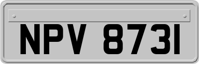 NPV8731