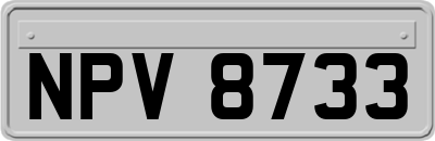 NPV8733