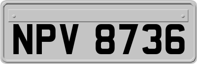 NPV8736