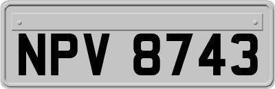 NPV8743