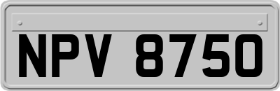 NPV8750