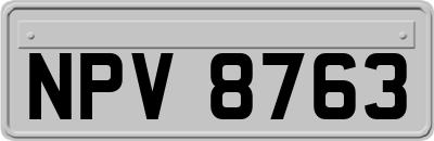 NPV8763