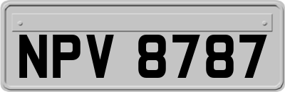 NPV8787