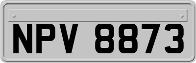 NPV8873