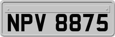 NPV8875