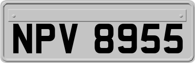 NPV8955