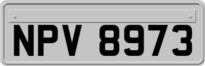 NPV8973