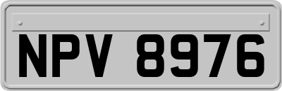 NPV8976