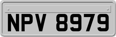 NPV8979