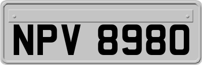 NPV8980