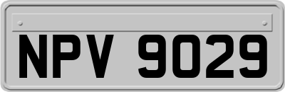 NPV9029