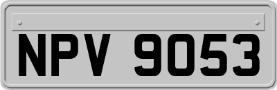 NPV9053