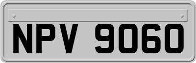 NPV9060