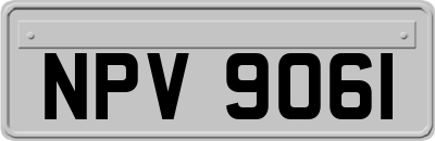 NPV9061