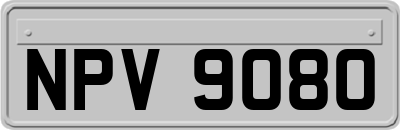 NPV9080