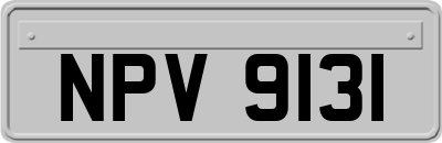 NPV9131