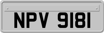 NPV9181