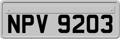 NPV9203