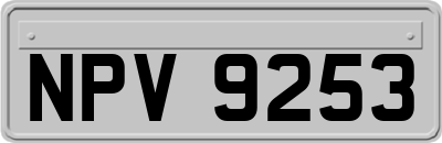 NPV9253