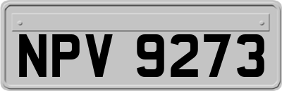 NPV9273