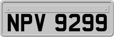 NPV9299
