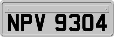 NPV9304