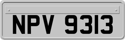 NPV9313