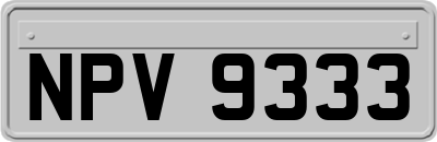 NPV9333