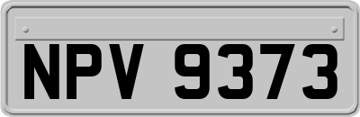 NPV9373