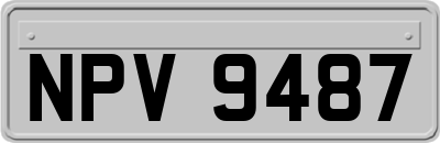 NPV9487