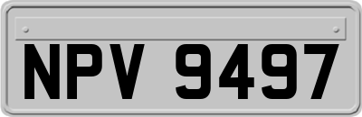 NPV9497