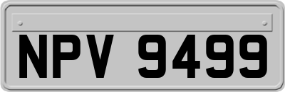 NPV9499