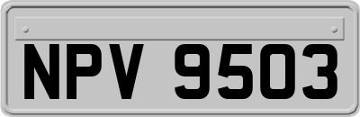 NPV9503