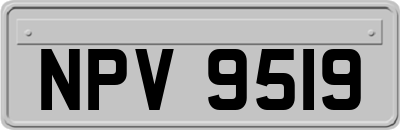 NPV9519