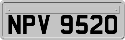 NPV9520