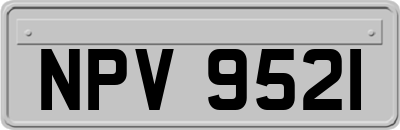 NPV9521
