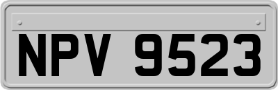 NPV9523