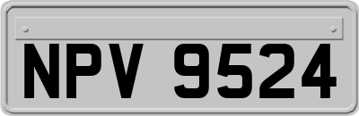 NPV9524
