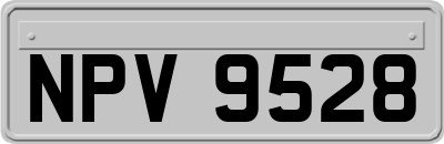 NPV9528