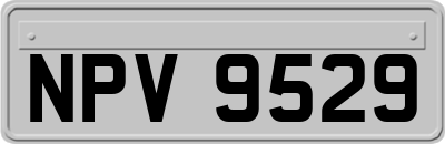 NPV9529