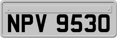 NPV9530