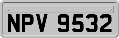 NPV9532