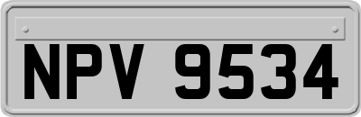 NPV9534